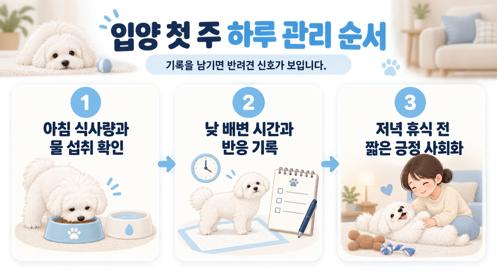 꼬똥 드 툴레아 월령별 생활 리듬과 교육 순서 카드