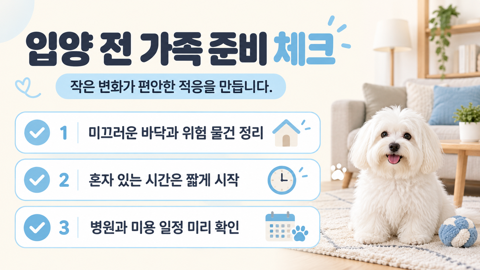 초보 견주를 위한 꼬똥 드 툴레아 돌봄 체크리스트 카드