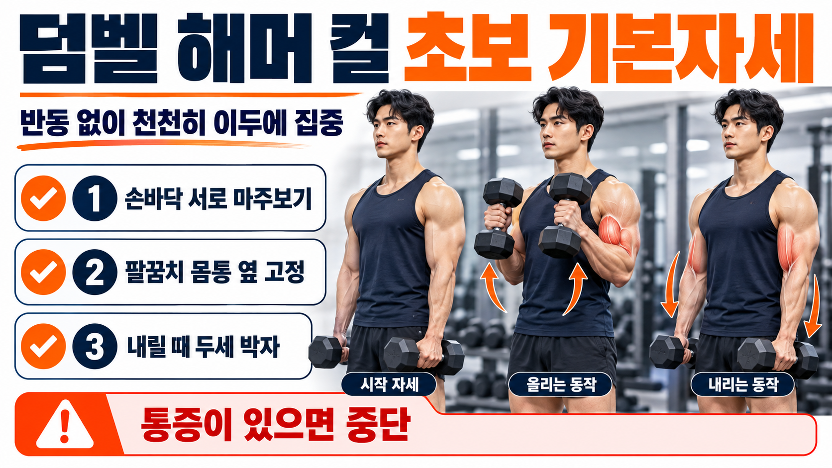 덤벨 해머 컬 초보 기본자세 핵심을 안내하는 정보카드