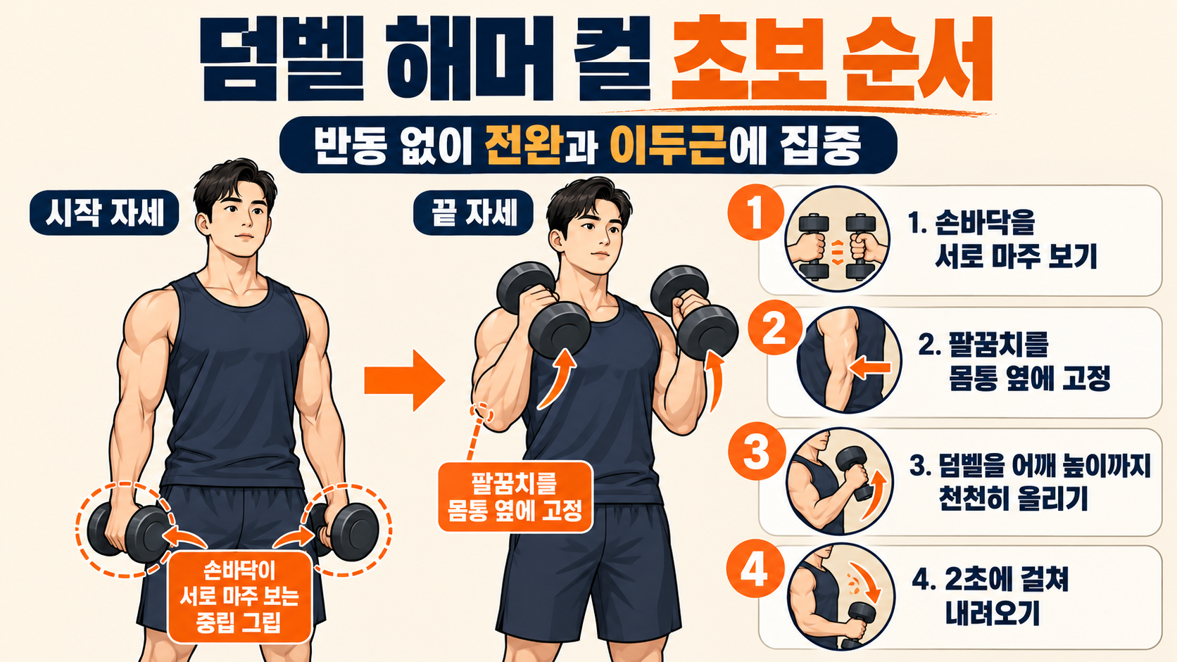 덤벨 해머 컬 동작 순서를 보여 주는 정보카드