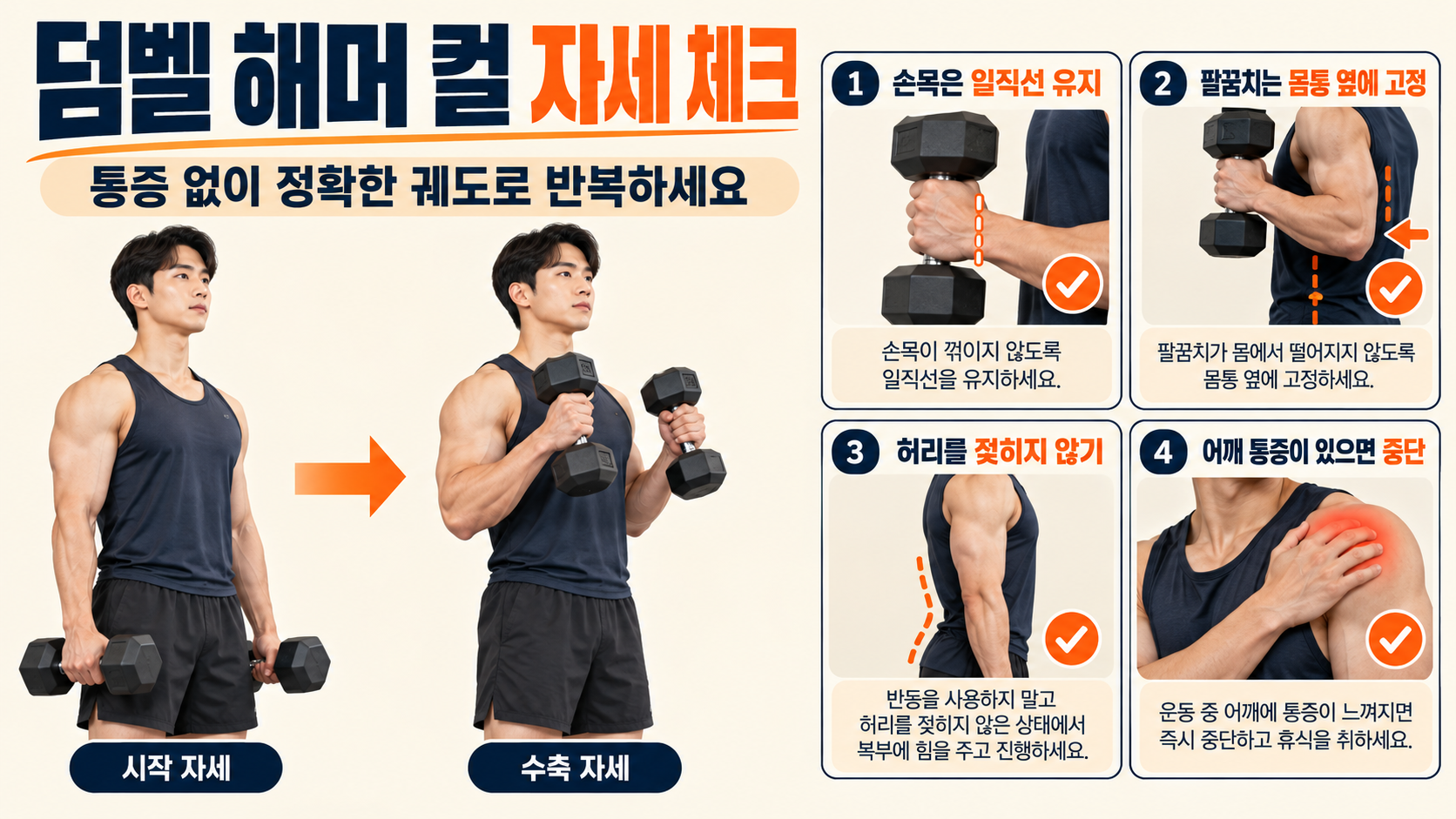덤벨 해머 컬 초보 체크리스트 정보카드