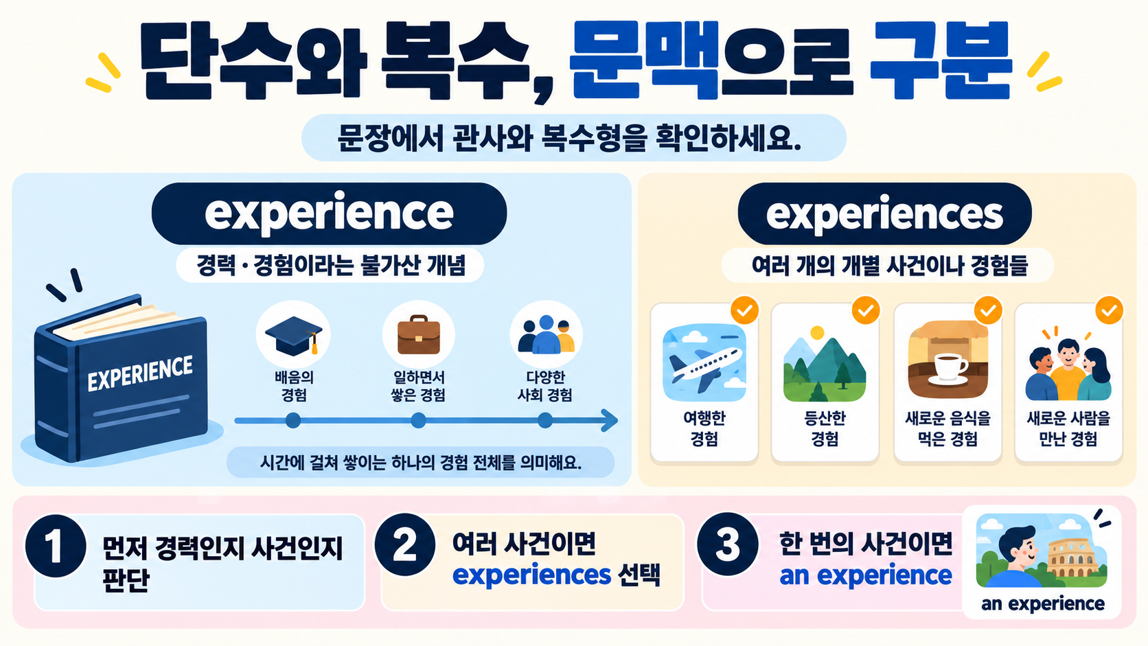 experience 단수와 experiences 복수 선택 순서 정보카드