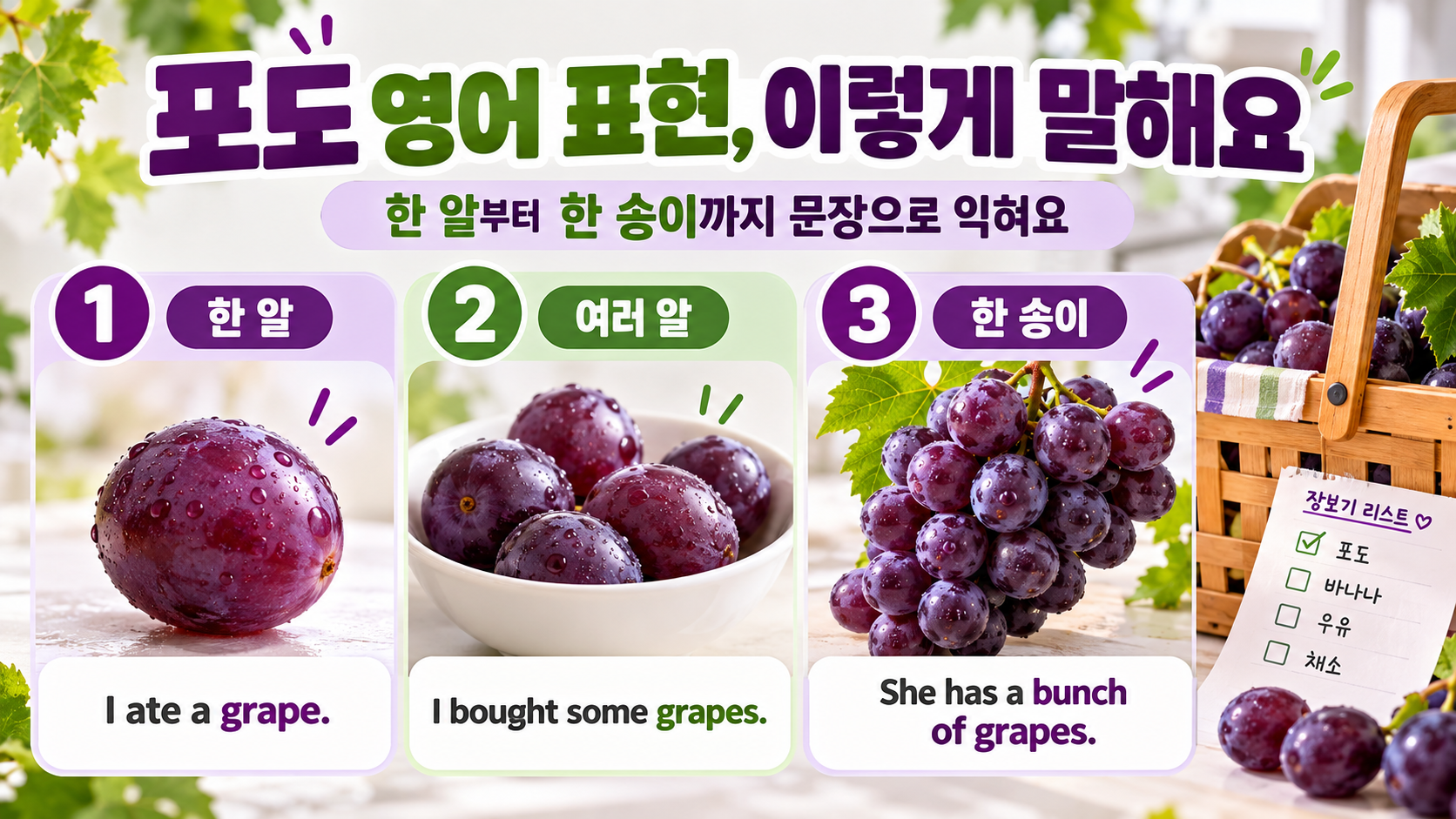포도 영어 문장을 단계별로 익히는 정보카드