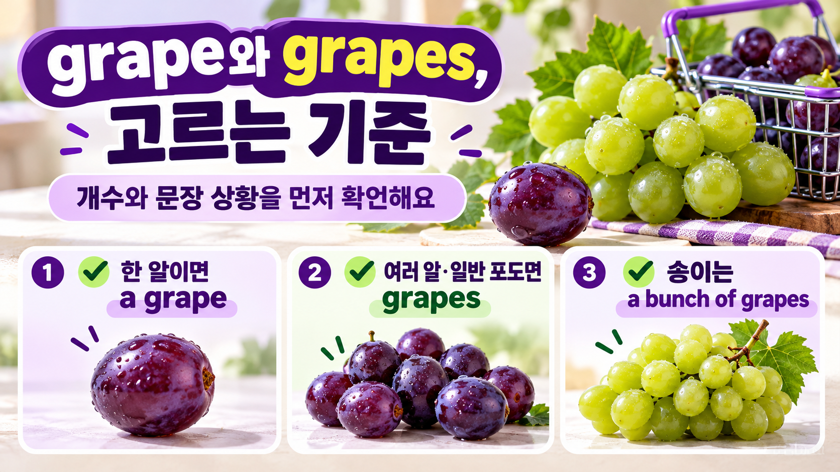 포도 영어 표현을 고르는 체크리스트 정보카드