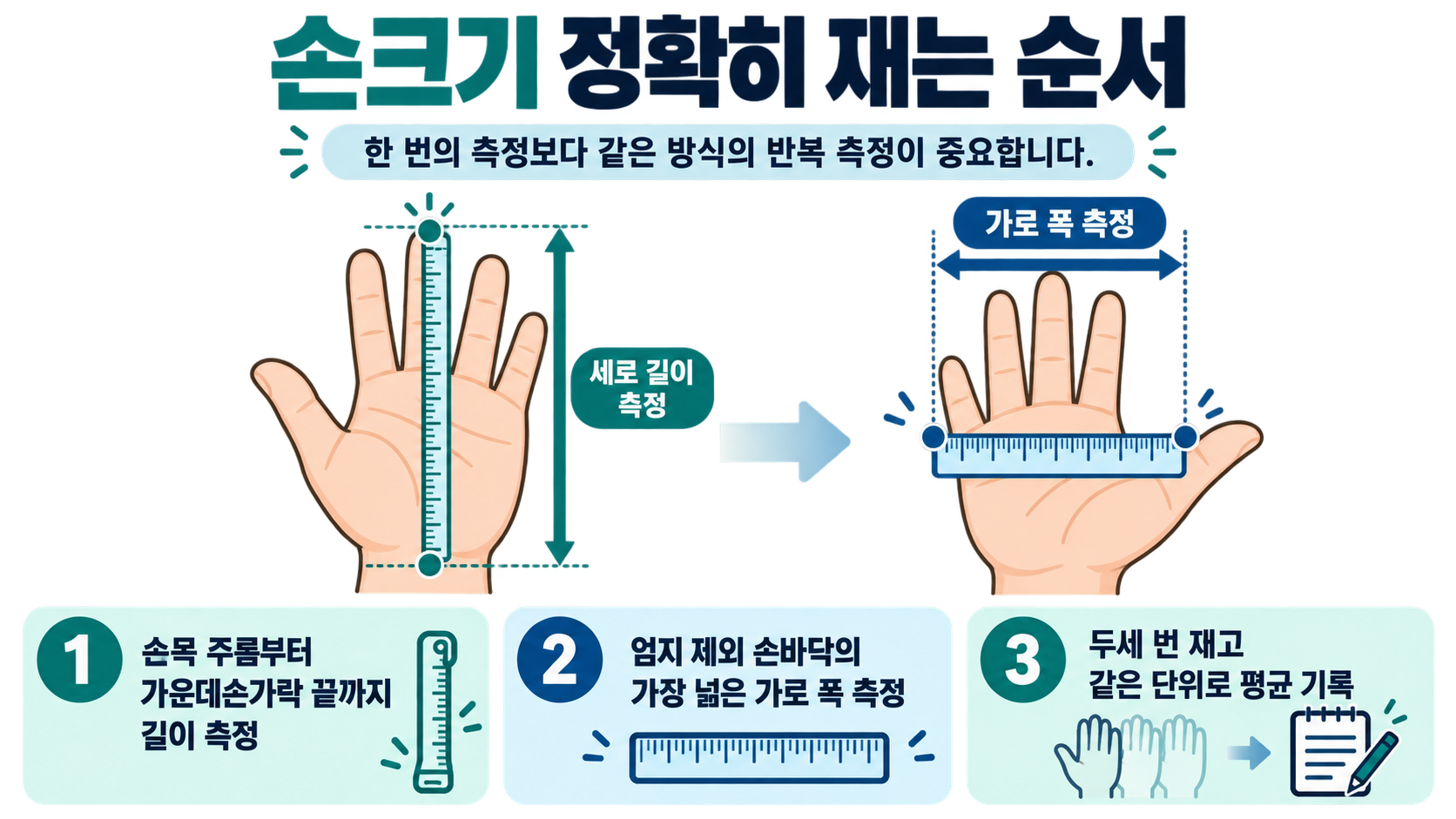 손 길이와 손바닥 너비를 재는 순서 안내