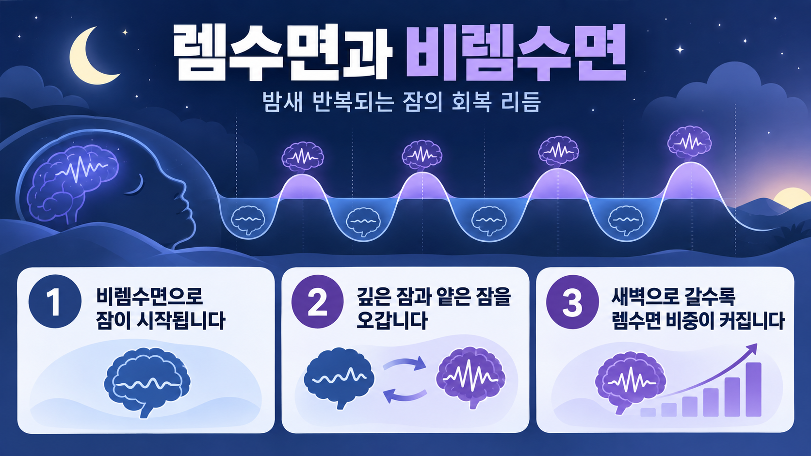 렘수면과 비렘수면의 수면 주기를 정리한 정보카드