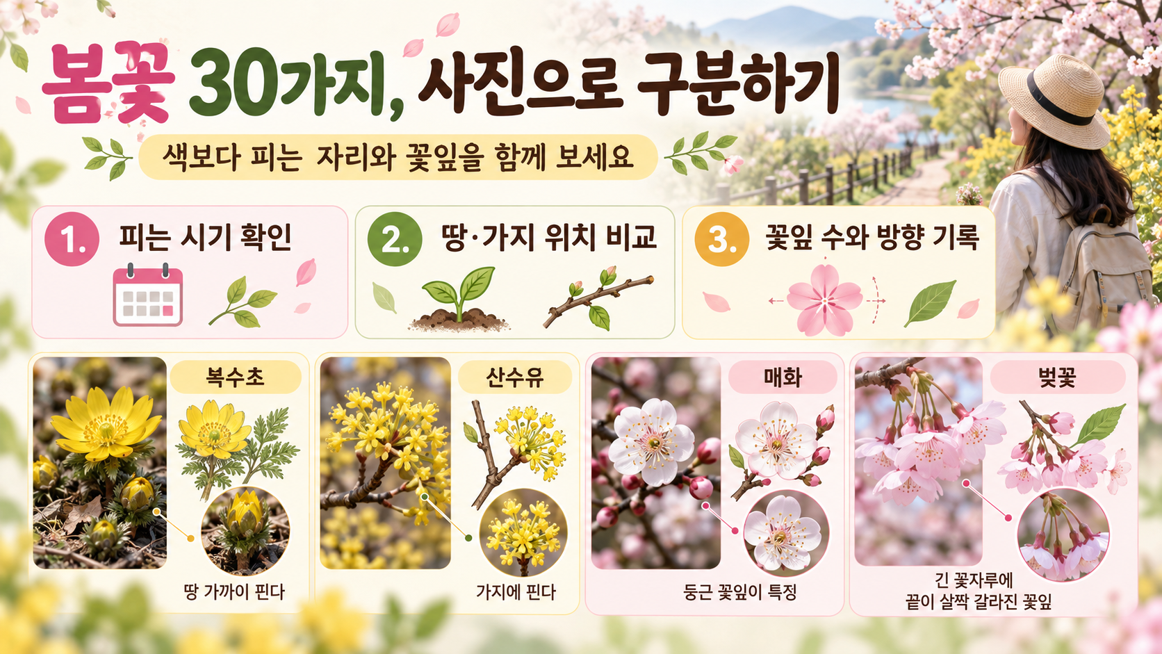 봄꽃 30가지 관찰 기준을 정리한 한국어 정보카드