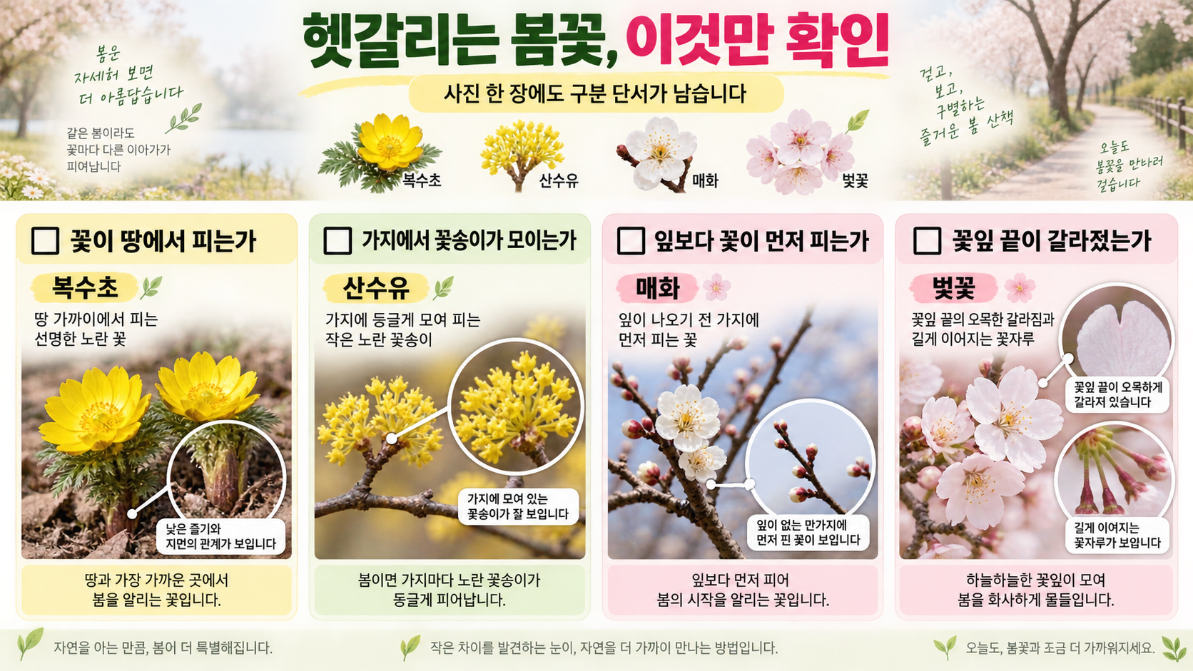봄꽃 사진 기록과 산책 예절 체크리스트 정보카드
